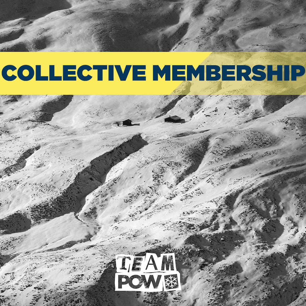 Annual Collective Membership